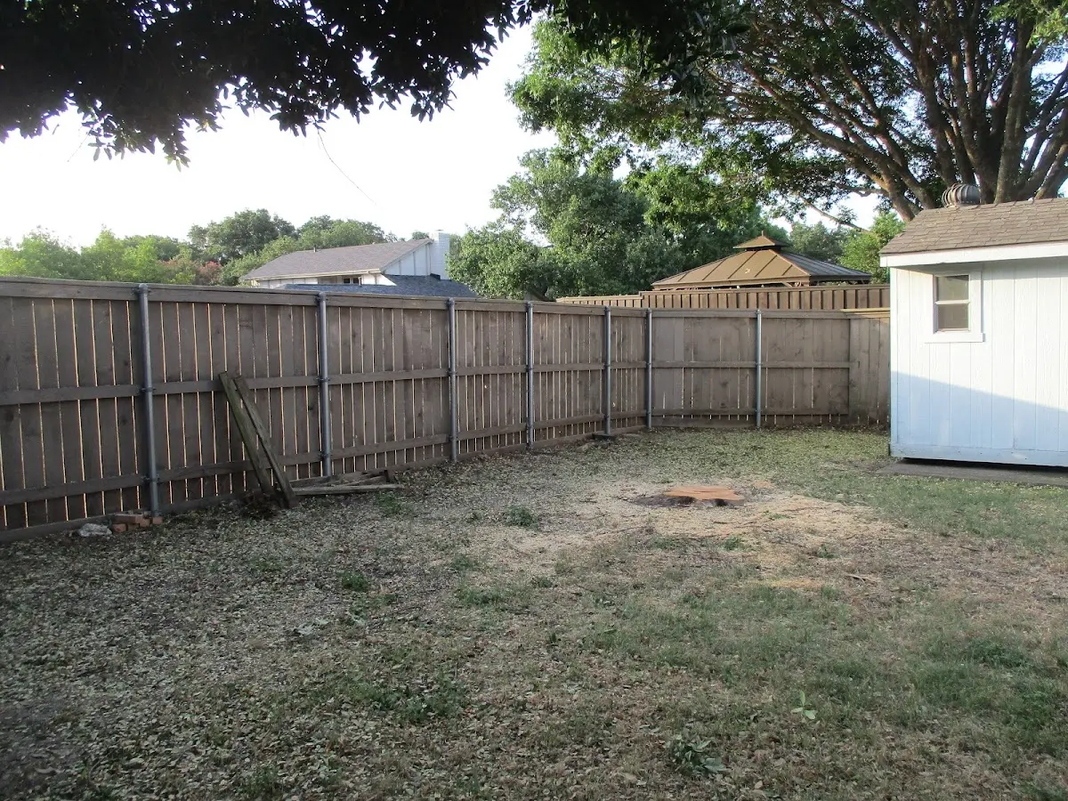Cleared yard after professional tree removal in Upper Jay